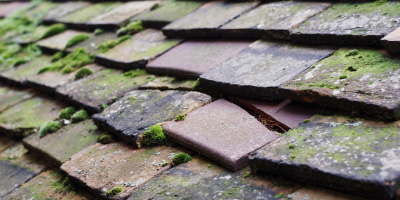 Sunninghill roof repair costs